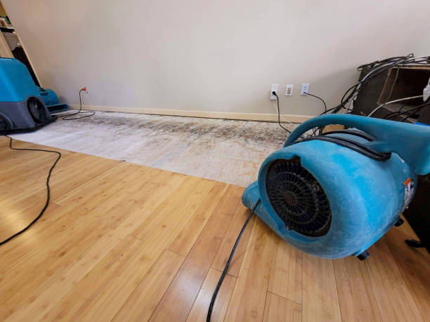 Professional Structural Drying technician working in Fairdale, KY